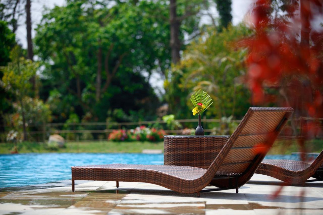Jungle Villa Resort - Near Chitwan National Park Zewnętrze zdjęcie